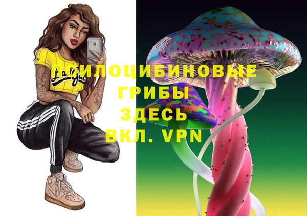 PSILOCYBIN Верхнеуральск